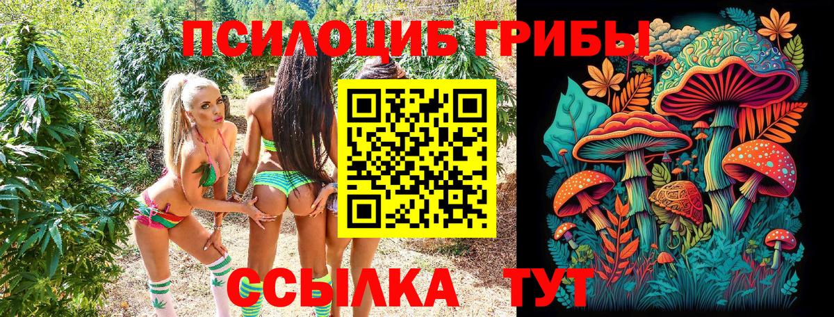 Псилоцибиновые грибы Magic Shrooms  Фрязино  Галлюциногенные грибы ЛСД 