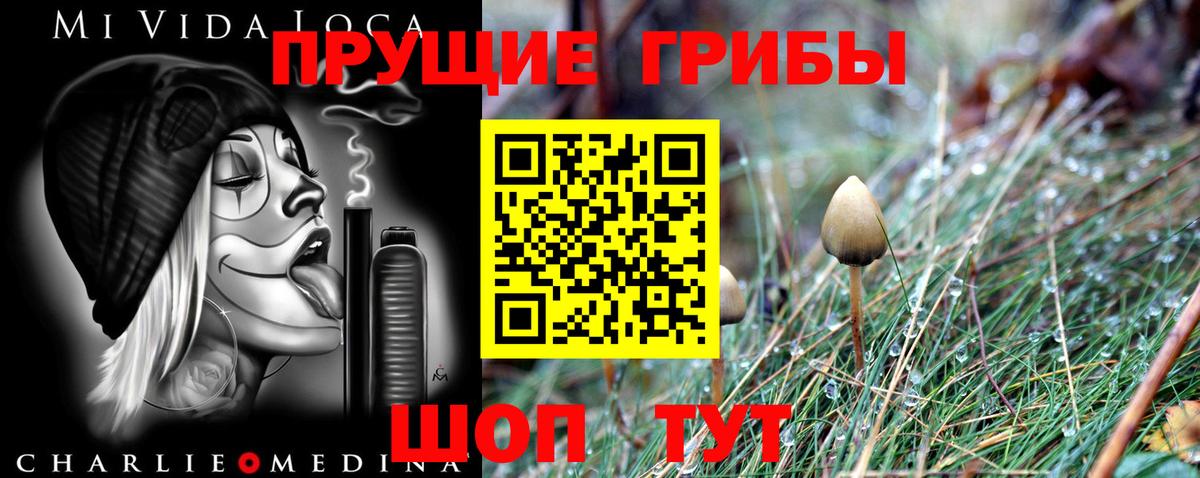 Галлюциногенные грибы ЛСД  Вход с VPN  Фрязино  Псилоцибиновые грибы Magic Shrooms 
