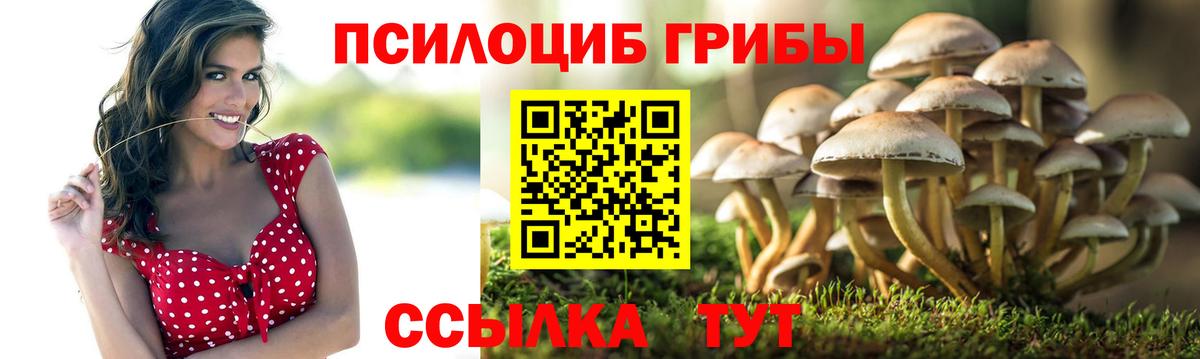 Галлюциногенные грибы MAGIC MUSHROOMS Фрязино