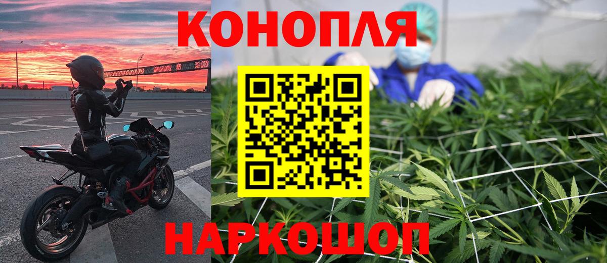 Шишки марихуана тримм  Вход с VPN  Бошки марихуана сатива  Фрязино 